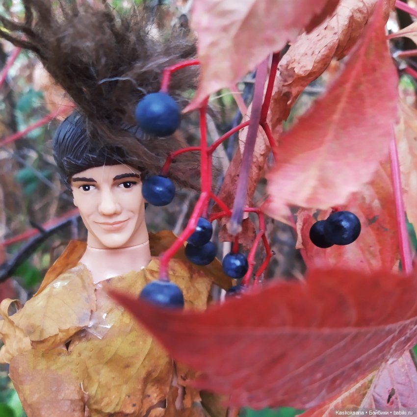 Сказки осеннего леса — Игровые куклы разных производителей (Разное): редкие бренды (фото 2)