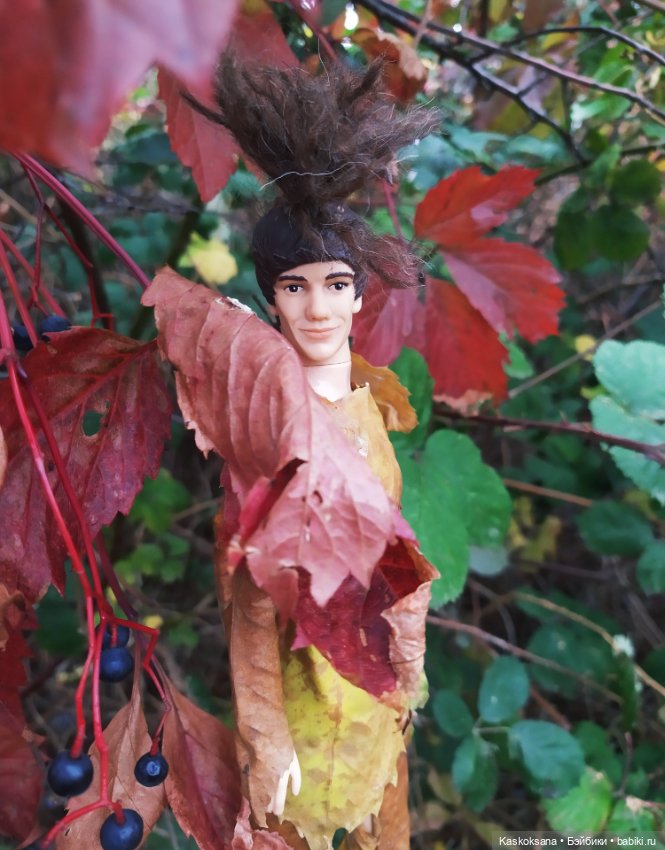 Сказки осеннего леса — Игровые куклы разных производителей (Разное): редкие бренды