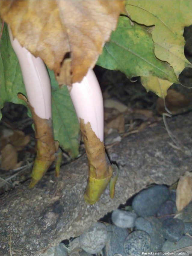 Сказки осеннего леса — Игровые куклы разных производителей (Разное): редкие бренды