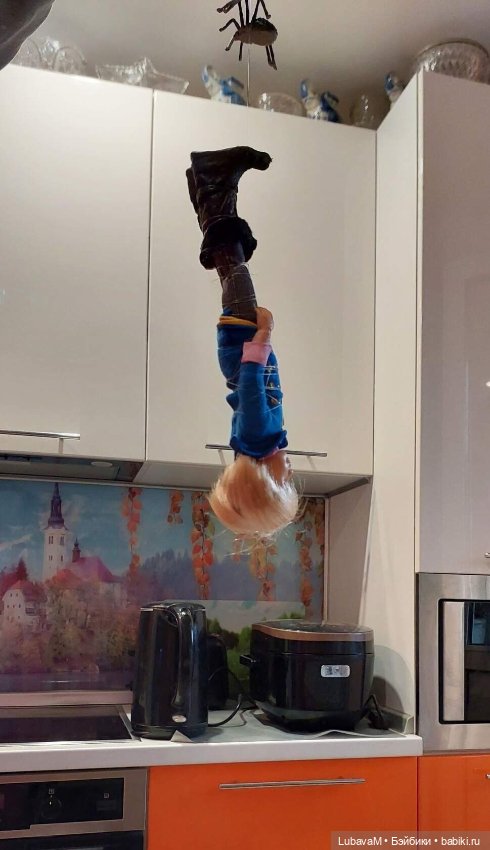 Приключения Бибигона — Интересное и необычное: фотоподборки