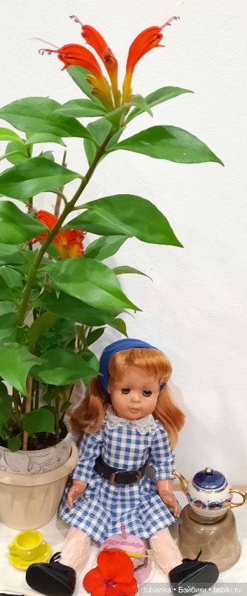 Преображение брошенки NEXT💖🥰