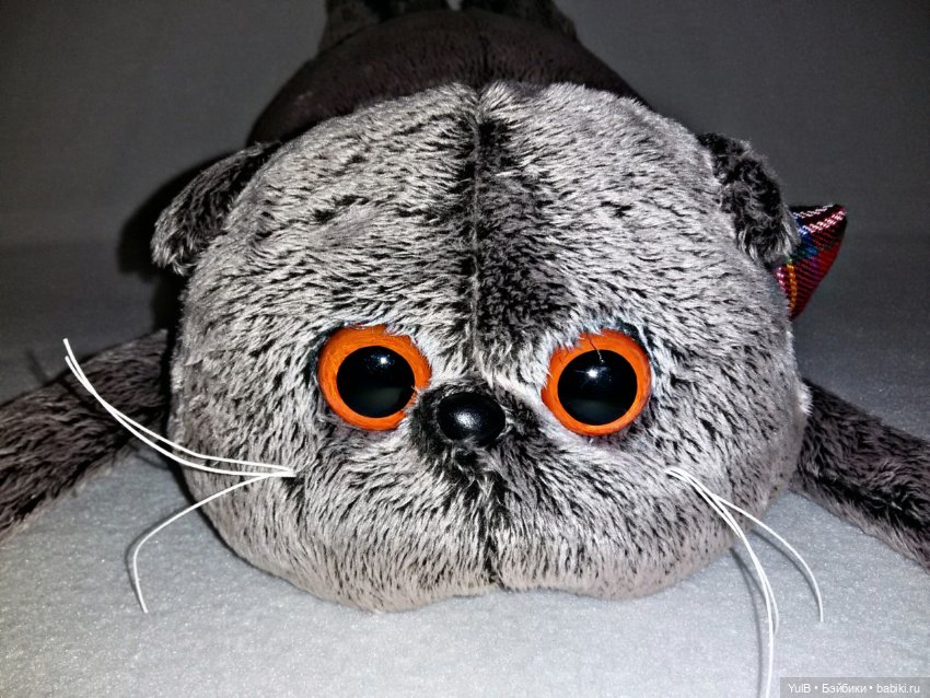 ...Кот не мой, но в моей коллекции (фото 5)