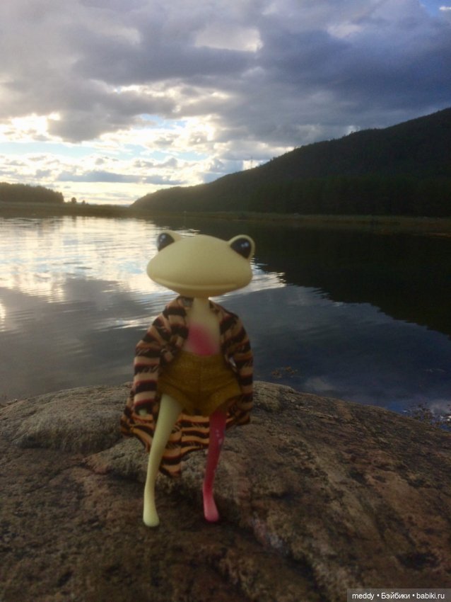 Мои лягухи... Коллекционные фигурки фирмы Wonder frog