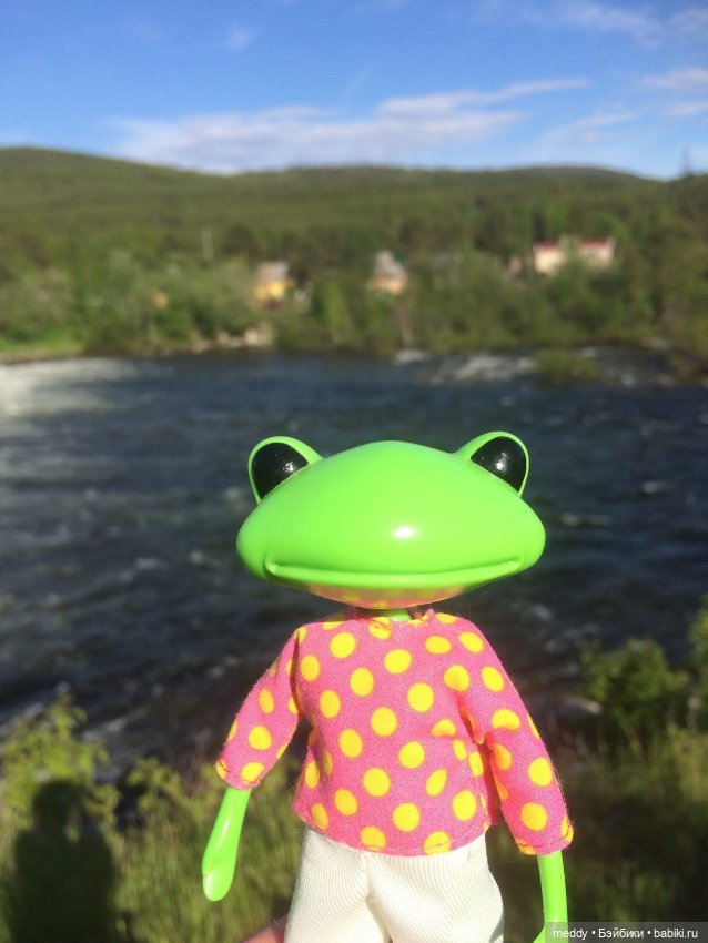 Мои лягухи... Коллекционные фигурки фирмы Wonder frog (фото 3)