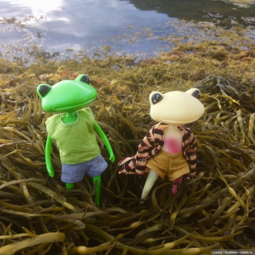 Мои лягухи... Коллекционные фигурки фирмы Wonder frog (фото 8)