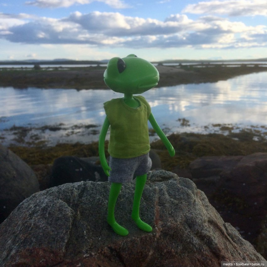 Мои лягухи... Коллекционные фигурки фирмы Wonder frog (фото 6)