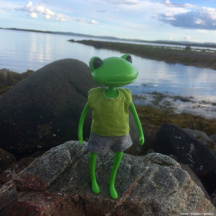 Мои лягухи... Коллекционные фигурки фирмы Wonder frog