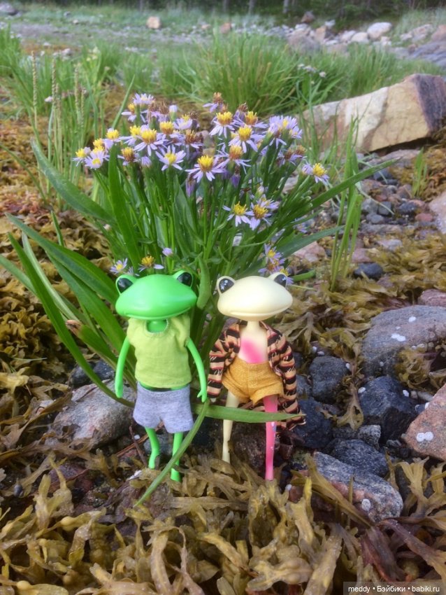 Мои лягухи... Коллекционные фигурки фирмы Wonder frog (фото 9)