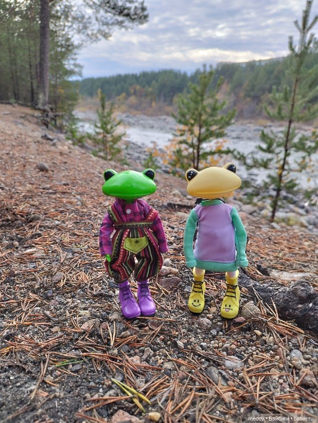 Мои лягухи... Коллекционные фигурки фирмы Wonder frog