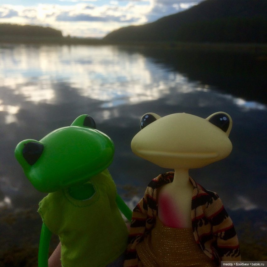 Мои лягухи... Коллекционные фигурки фирмы Wonder frog