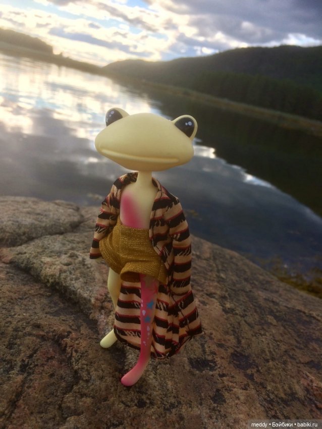 Мои лягухи... Коллекционные фигурки фирмы Wonder frog (фото 10)