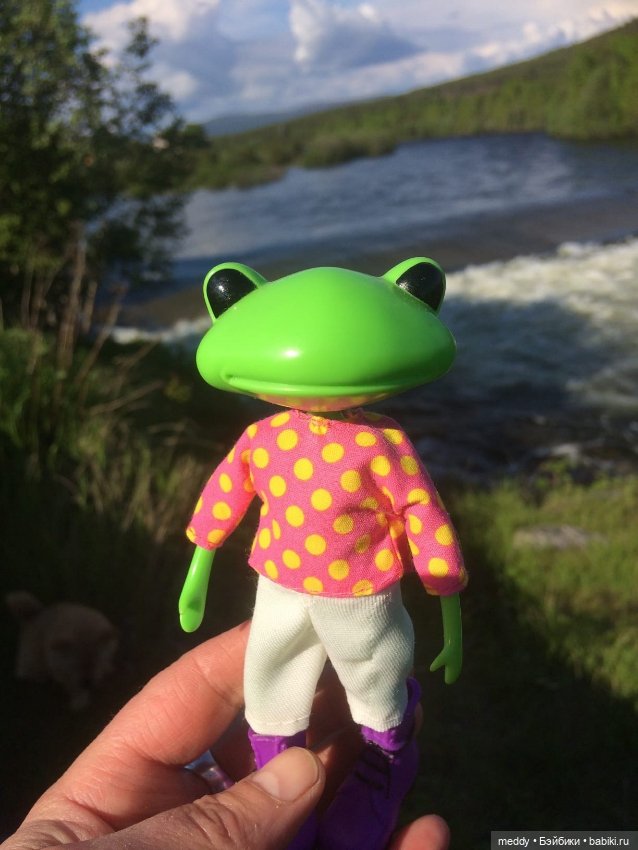 Мои лягухи... Коллекционные фигурки фирмы Wonder frog (фото 5)