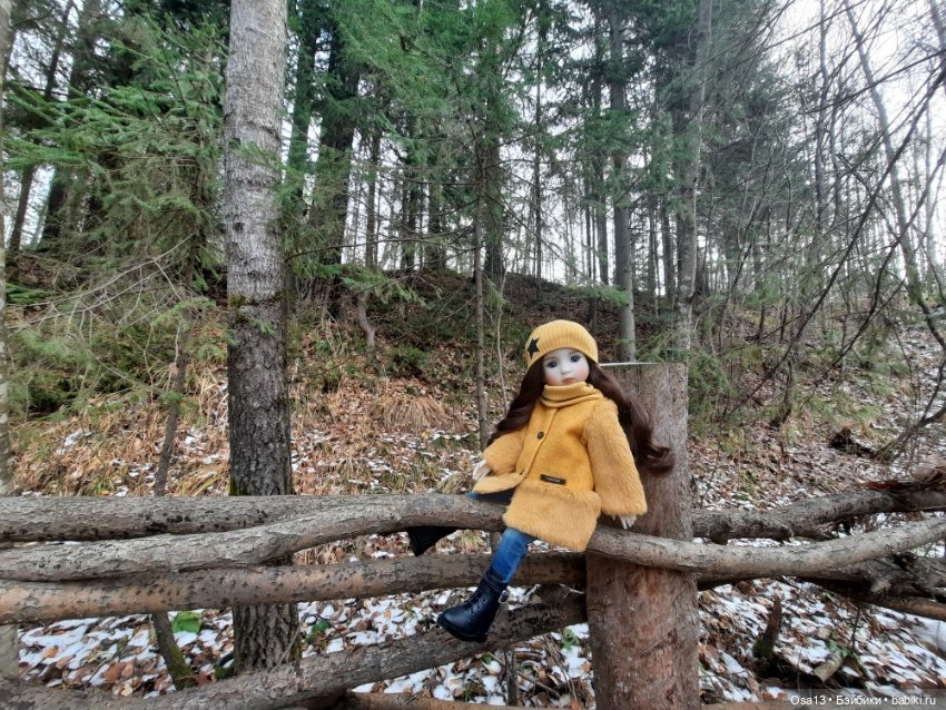 Ключик Разина — Куклы Ruby Red (Руби Ред) Fashion Friends: Siblies