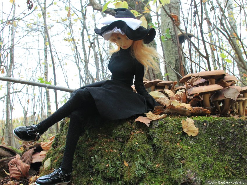 Урожай — Куклы Resinsoul (Резинсоул) и Bobobie: BJD (БЖД) (фото 2)