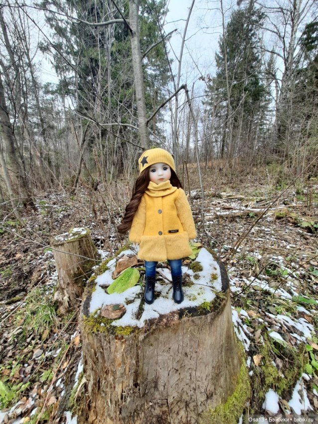 Ключик Разина — Куклы Ruby Red (Руби Ред) Fashion Friends: Siblies (фото 6)