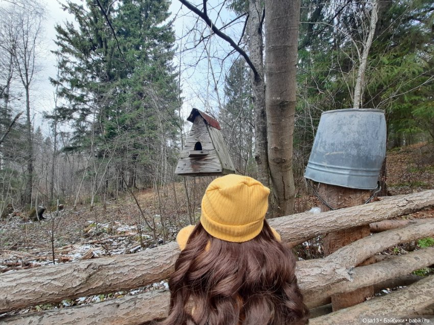 Ключик Разина — Куклы Ruby Red (Руби Ред) Fashion Friends: Siblies (фото 2)