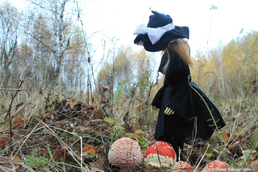 Урожай — Куклы Resinsoul (Резинсоул) и Bobobie: BJD (БЖД) (фото 4)