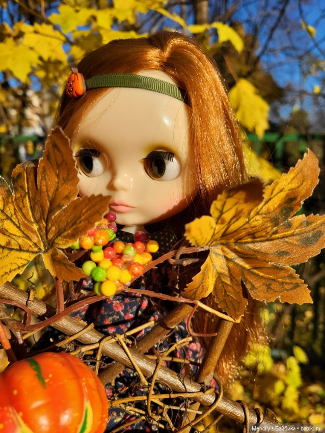 Осенние портреты — Оригинальные куклы Blythe (Блайз): Takara