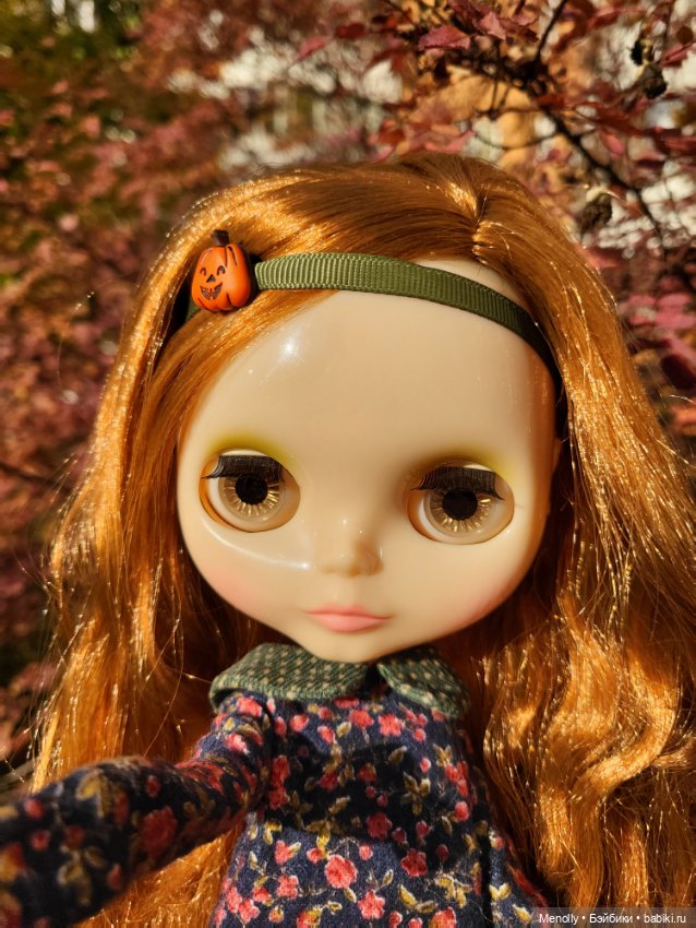 Осенние портреты — Оригинальные куклы Blythe (Блайз): Takara (фото 3)