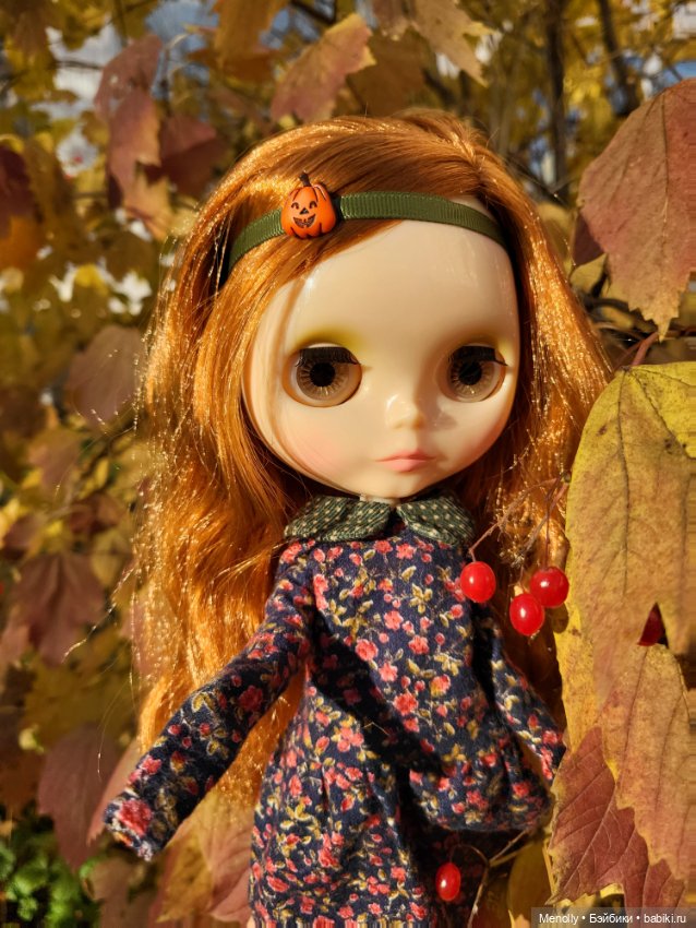 Осенние портреты — Оригинальные куклы Blythe (Блайз): Takara (фото 5)