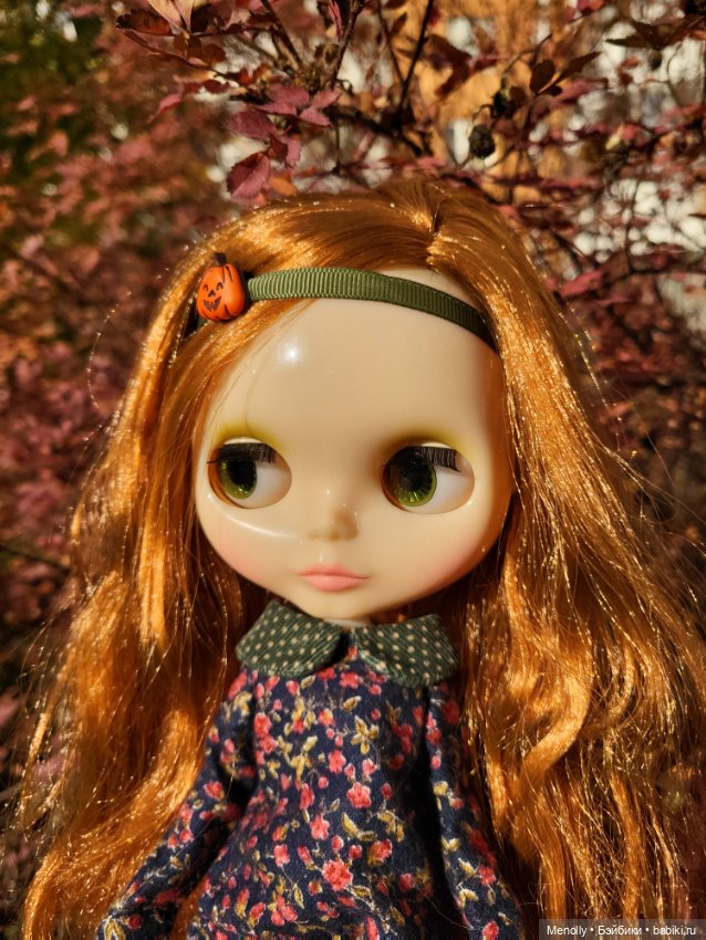 Осенние портреты — Оригинальные куклы Blythe (Блайз): Takara (фото 2)