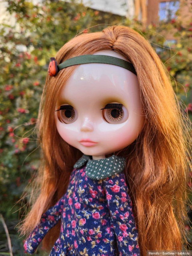 Осенние портреты — Оригинальные куклы Blythe (Блайз): Takara (фото 8)