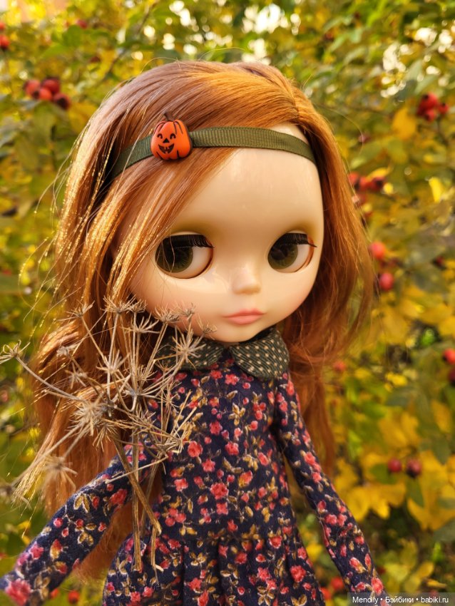 Осенние портреты — Оригинальные куклы Blythe (Блайз): Takara (фото 10)