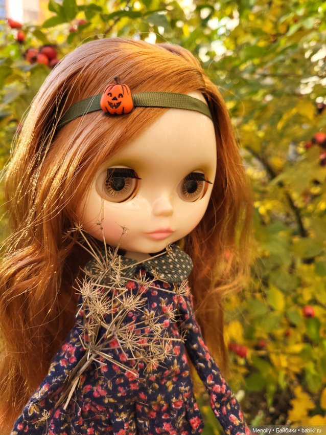 Осенние портреты — Оригинальные куклы Blythe (Блайз): Takara (фото 9)