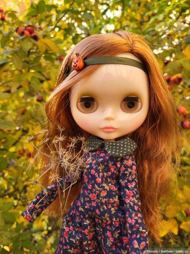 Осенние портреты — Оригинальные куклы Blythe (Блайз): Takara (фото 6)