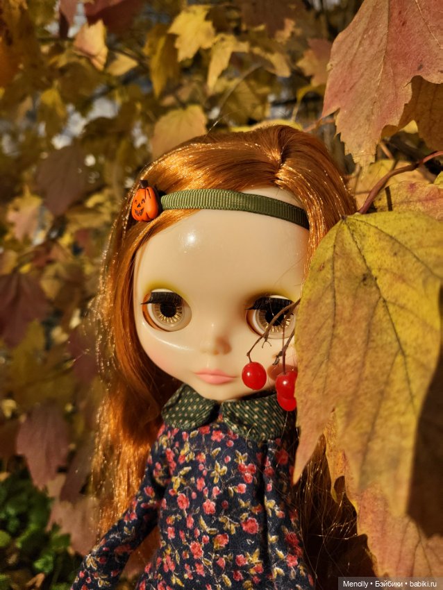 Осенние портреты — Оригинальные куклы Blythe (Блайз): Takara (фото 7)