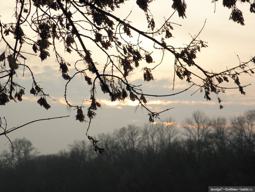 "This is Halloween!" — Куклы Monster High и Ever After High: G1