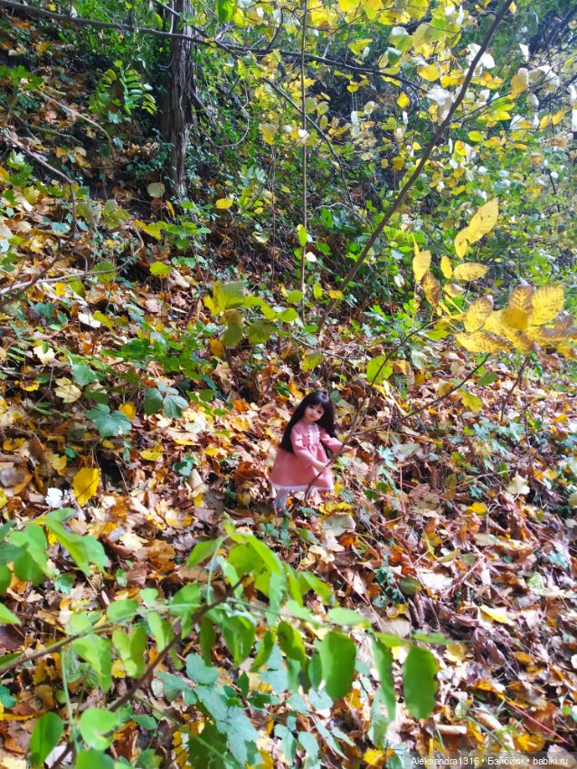 Два Года🐥 — Куклы Maru and Friends (Мару): молды Dianna Effner