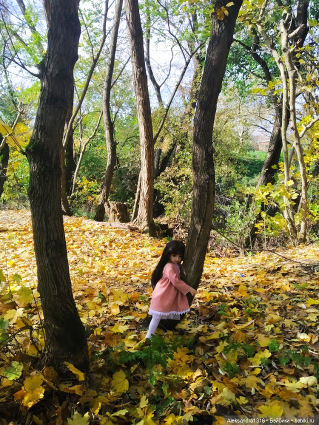 Два Года🐥 — Куклы Maru and Friends (Мару): молды Dianna Effner (фото 6)