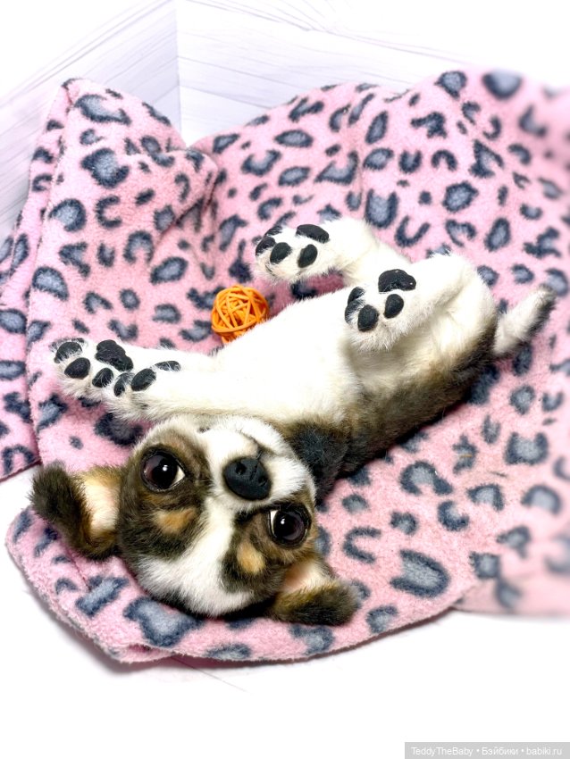 Випи 🐾 — Реалистичные игрушки и звери (Натюр): собаки