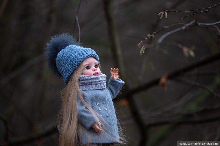 Прогулка в осеннем лесу — Болталка и разговоры обо всем: жизнь (фото 5)