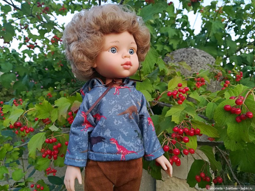 Кудрявый Луис от Паола Рейна (фото 7)