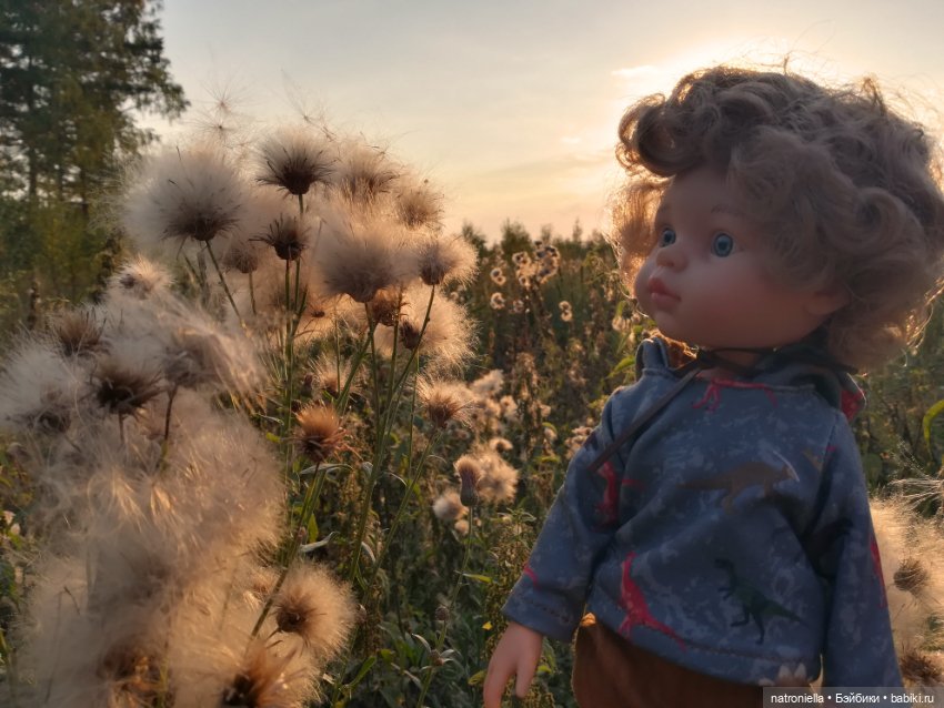 Кудрявый Луис от Паола Рейна (фото 3)