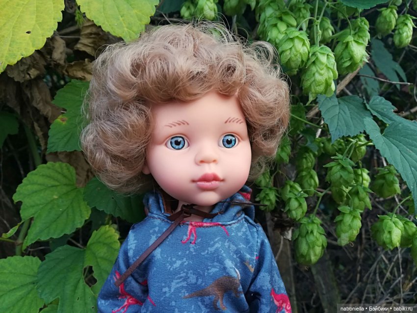 Кудрявый Луис от Паола Рейна (фото 6)