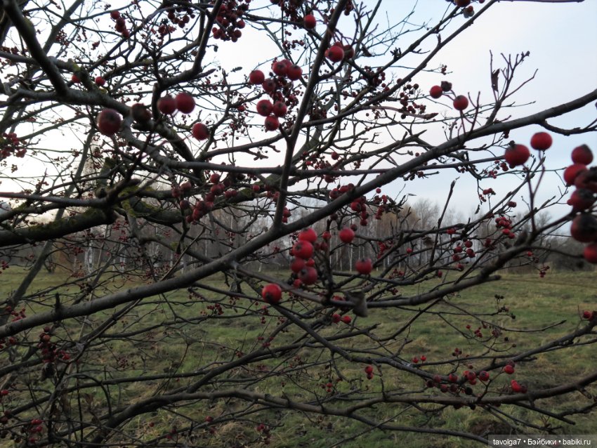 Самайн — Коллекционные куклы разных авторов (Разное): редкие бренды (фото 3)