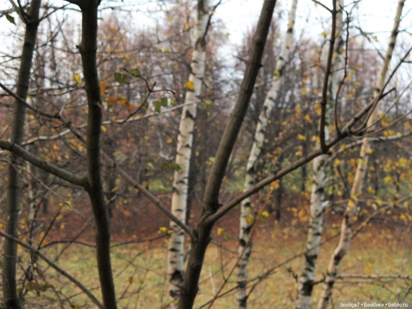 Самайн — Коллекционные куклы разных авторов (Разное): редкие бренды (фото 2)