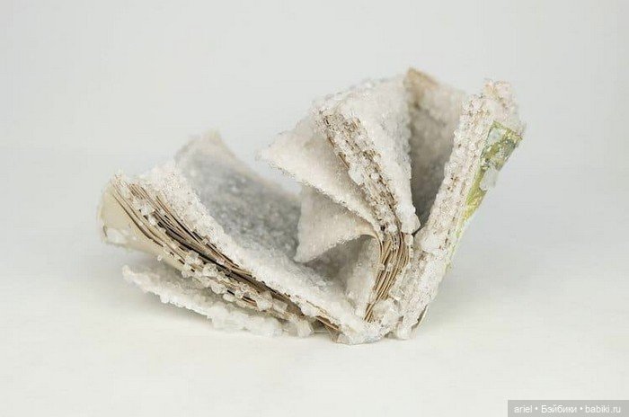 Скульптуры из старых книг от американской художницы Alexis Arnold (фото 7)