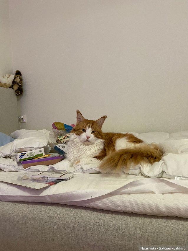 Fashion Dolls 417 — Туризм и путешествия: фотоотчеты из поездок