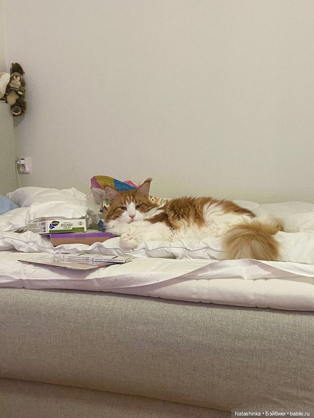 Fashion Dolls 417 — Туризм и путешествия: фотоотчеты из поездок