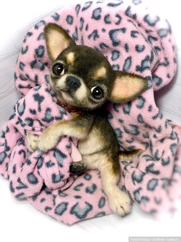 Барик🐶 — Реалистичные игрушки и звери (Натюр): собаки