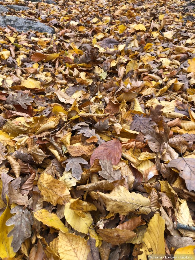 Мой маленький лесной эльф Карма (фото 8)