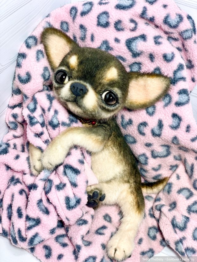Барик🐶 — Реалистичные игрушки и звери (Натюр): собаки (фото 10)