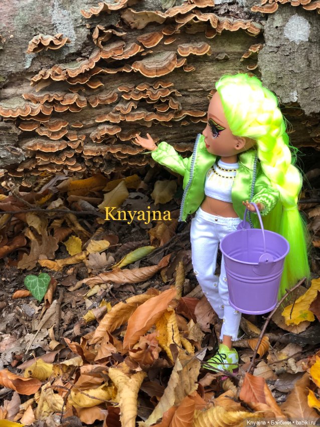 Мой маленький лесной эльф Карма