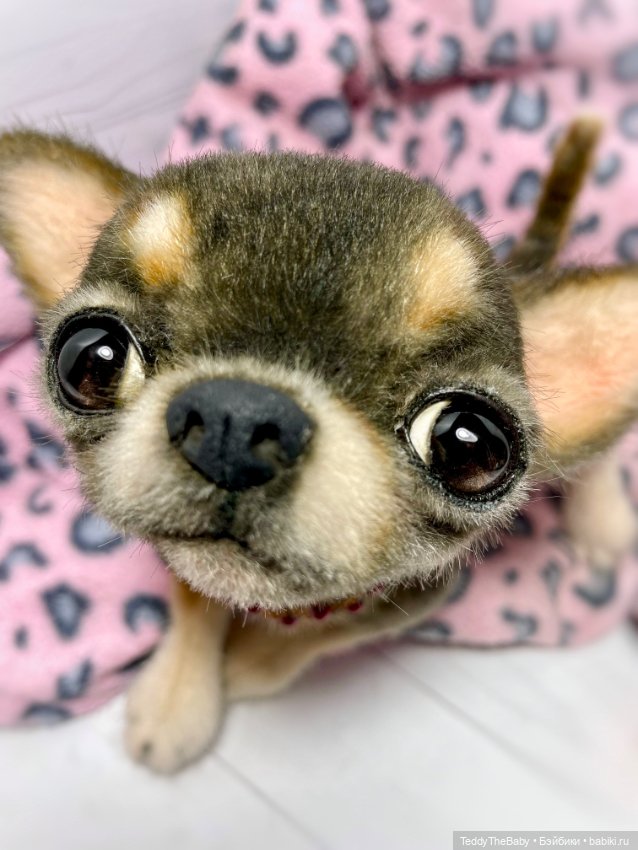 Барик🐶 — Реалистичные игрушки и звери (Натюр): собаки