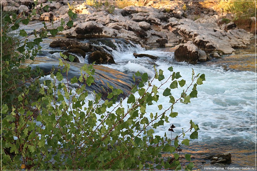 Последний день лета — Болталка и разговоры обо всем: жизнь