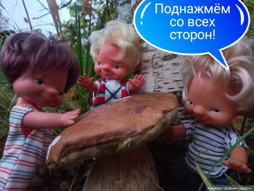 Весёлые картинки. "Дядя Увэ и супер-гриб". Часть 2 (фото 2)